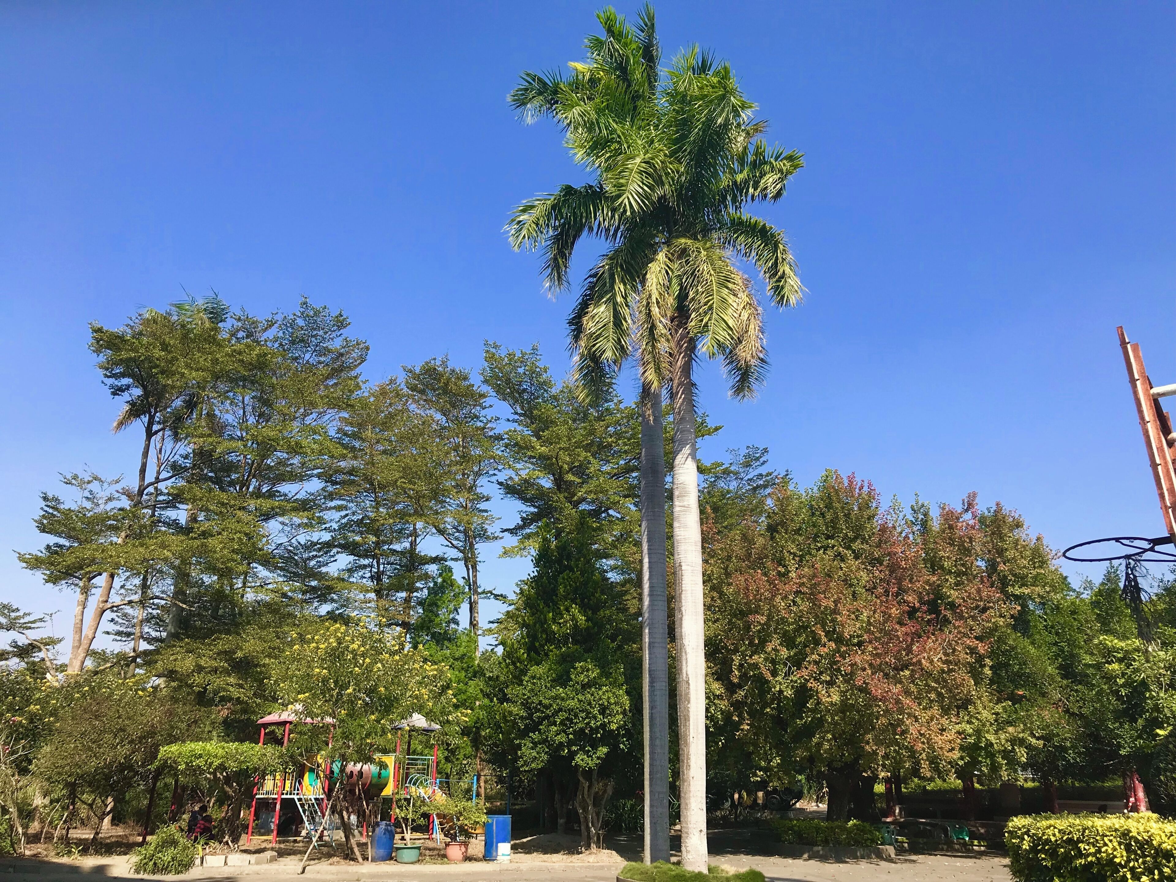 荷婆崙霖肇宮風景區