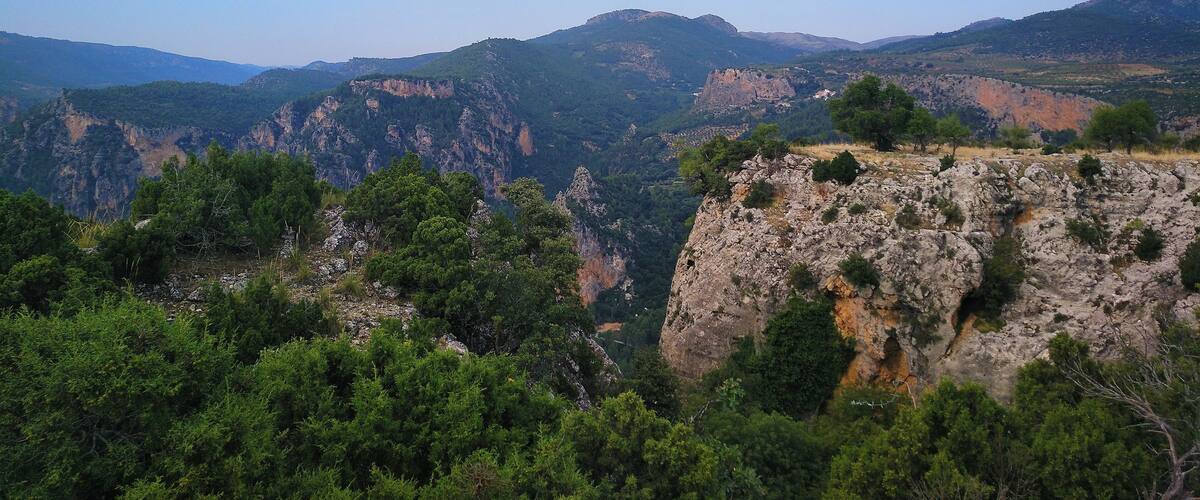 A mountainous landscape with rocky cliffs and dense green forests.
