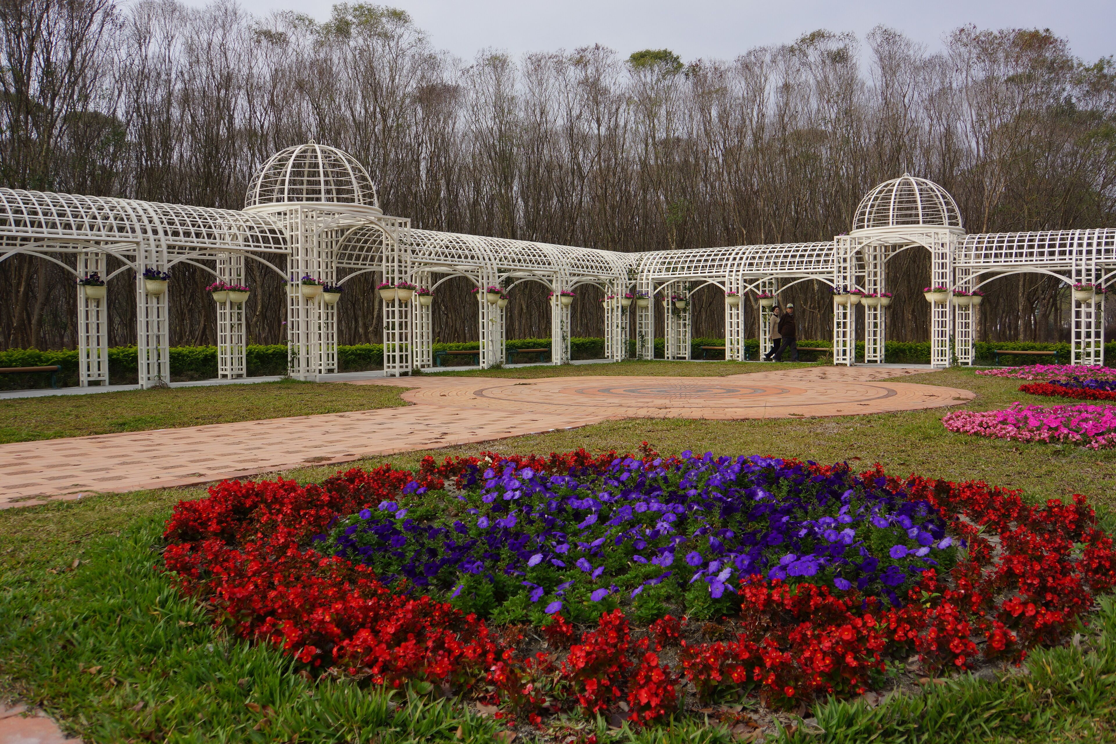 A garden with a white glasshouse structure and colorful flower beds.
