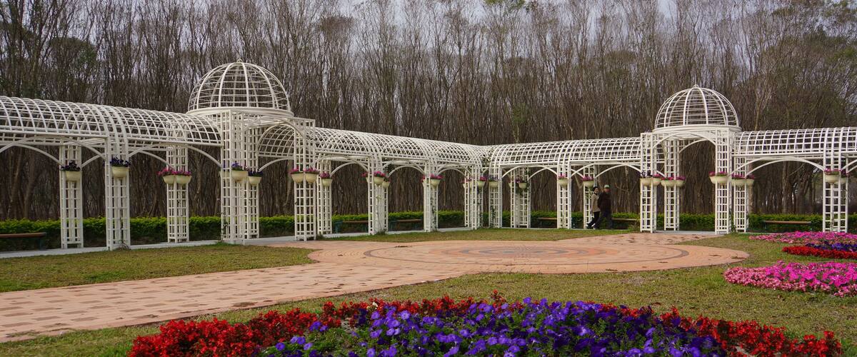 A garden with a white glasshouse structure and colorful flower beds.