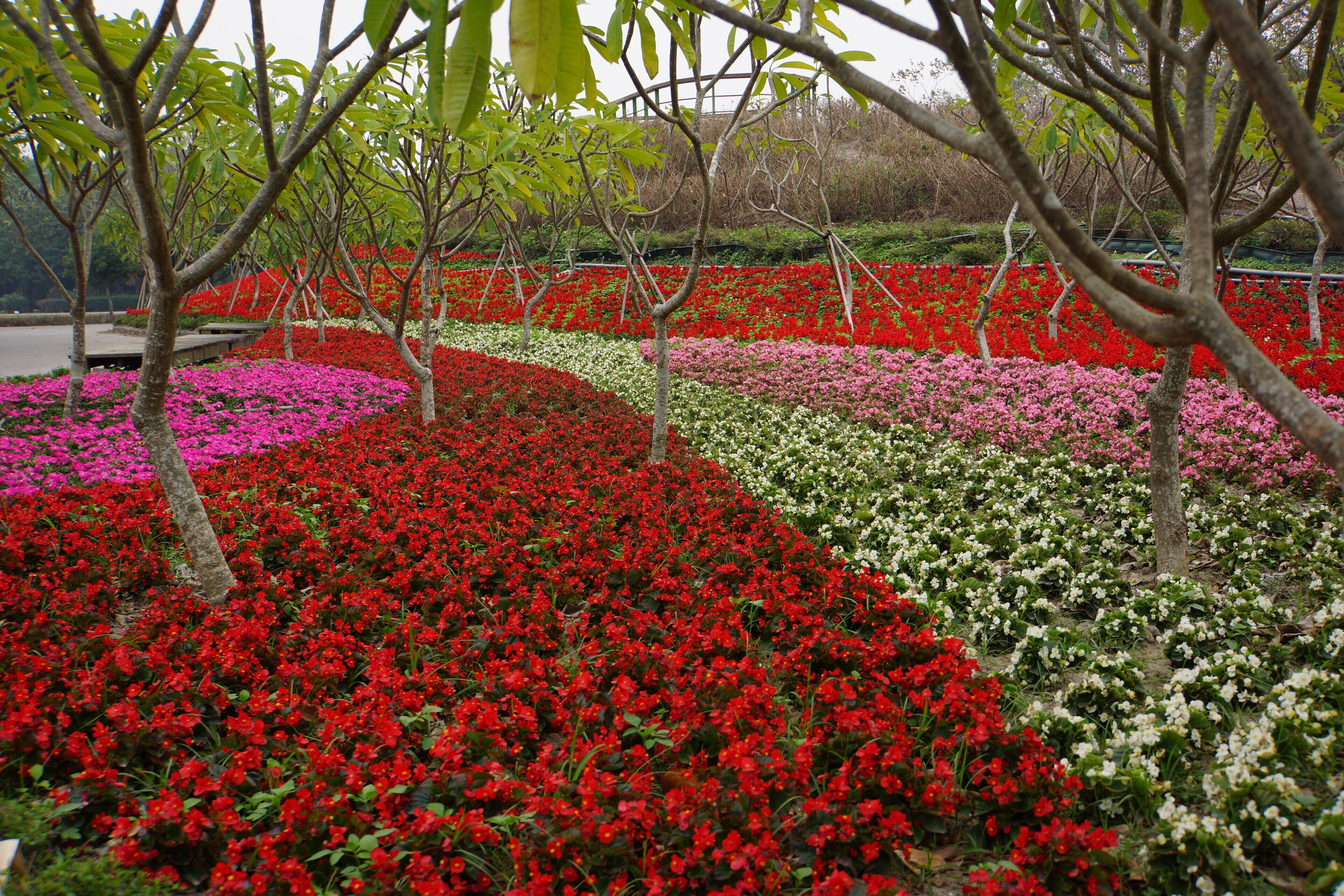 彰化費茲洛公園 Zhanghua Fitzroy Gardens
