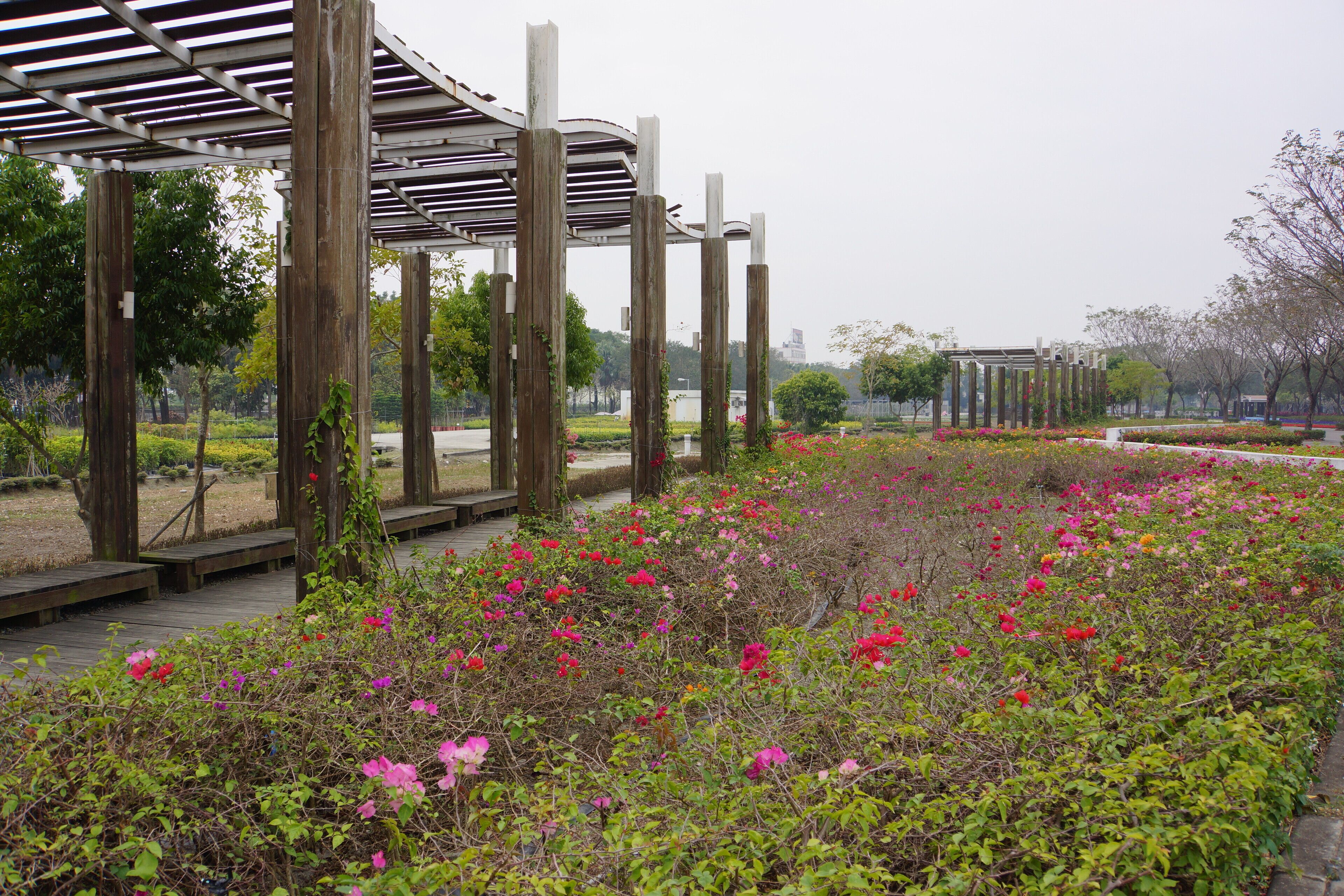 Fitzrou Gardens 費茲洛公園