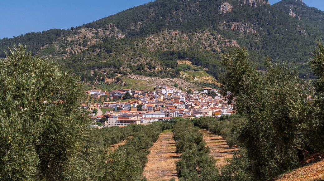 Orcera, view of the town between olives, Jaén province, Andalusia, Spain
