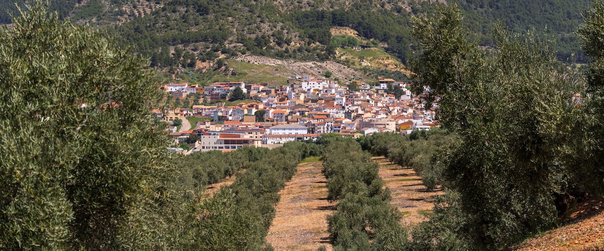 A town nestled in a valley with olive groves and a mountain in the background.