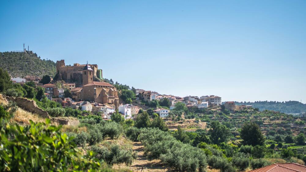 A historic town with a prominent castle on a hill, surrounded by olive groves and residential buildings.