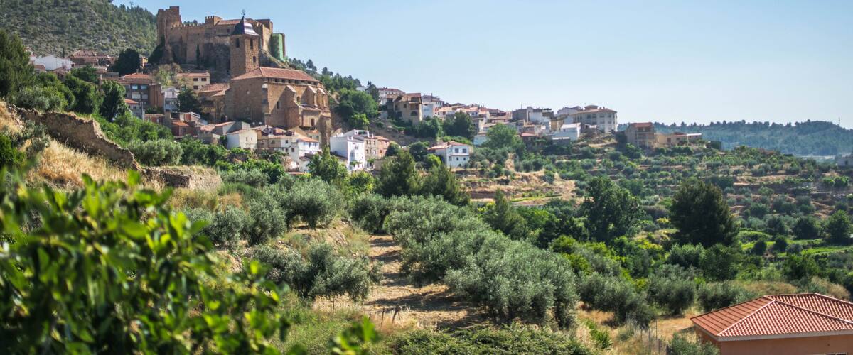 A historic town with a prominent castle on a hill, surrounded by olive groves and residential buildings.