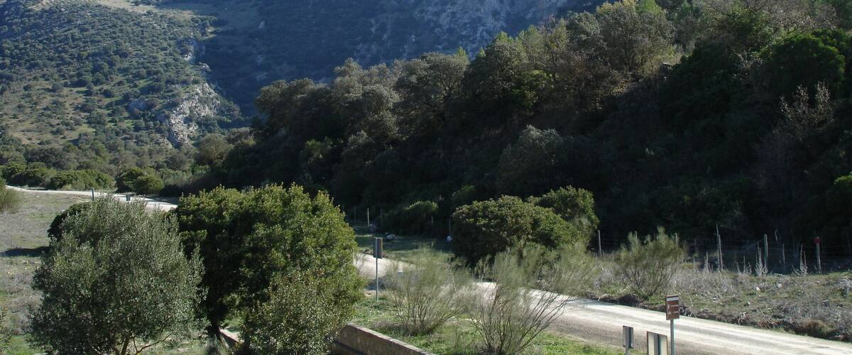 A mountainous landscape with a prominent rocky peak and dense forested areas.