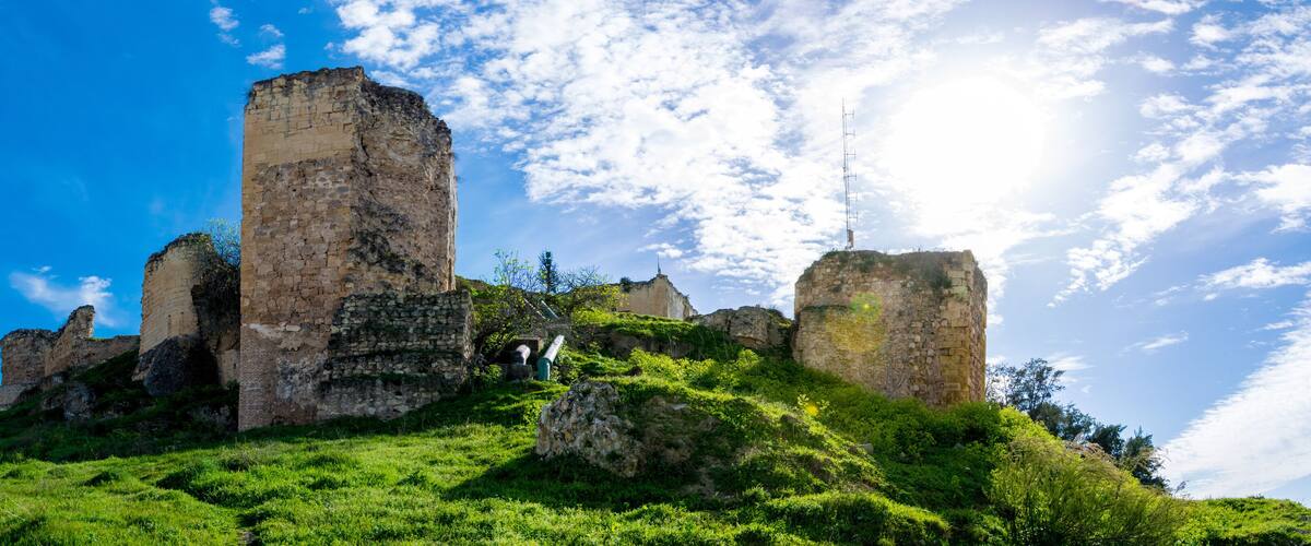 A historic castle ruin with tall stone walls and a lush green landscape.