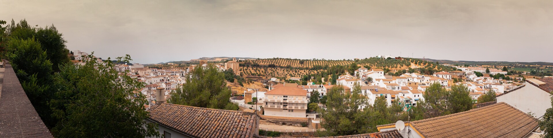 A town with terracotta-roofed buildings, a hill with vineyards, and a cloudy sky.