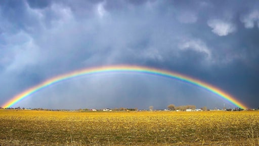 Spring time in Idaho