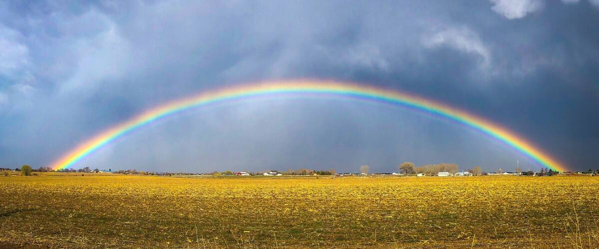 Spring time in Idaho