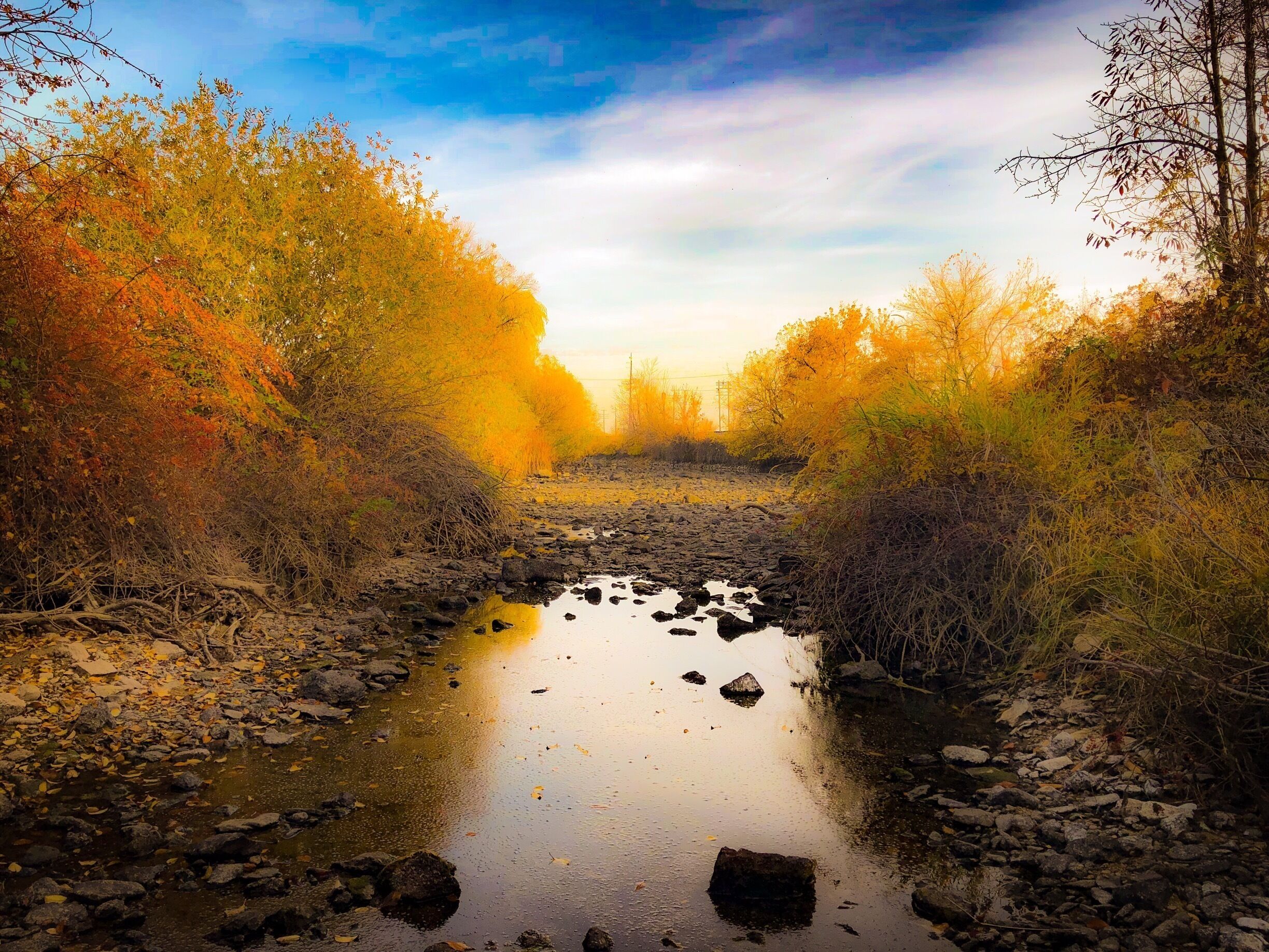 #GreatOutdoors Photo Contest
In this little town called Kuna that’s only a 20 minute drive from Boise Idaho, there is a large creek which runs thru town, it called, Indian Creek. It is dry during the winter months because of irrigation water being turned off. It’s a place that I explored as a child. It was also a great place to ice skate in the winter months. 
Beautiful greenbelt runs along it and the kids love the outdoor movies on hot summer nights in the park next to it.