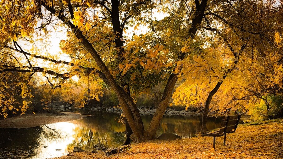 #GreatOutdoors Photo Contest
In this little town called Kuna that’s only a 20 minute drive from Boise Idaho, there is a large creek which runs thru town, it called, Indian Creek. It is dry during the winter months because of irrigation water being turned off. It’s a place that I explored as a child. It was also a great place to ice skate in the winter months.
Beautiful greenbelt runs along it and the kids love the outdoor movies on hot summer nights in the park next to it.