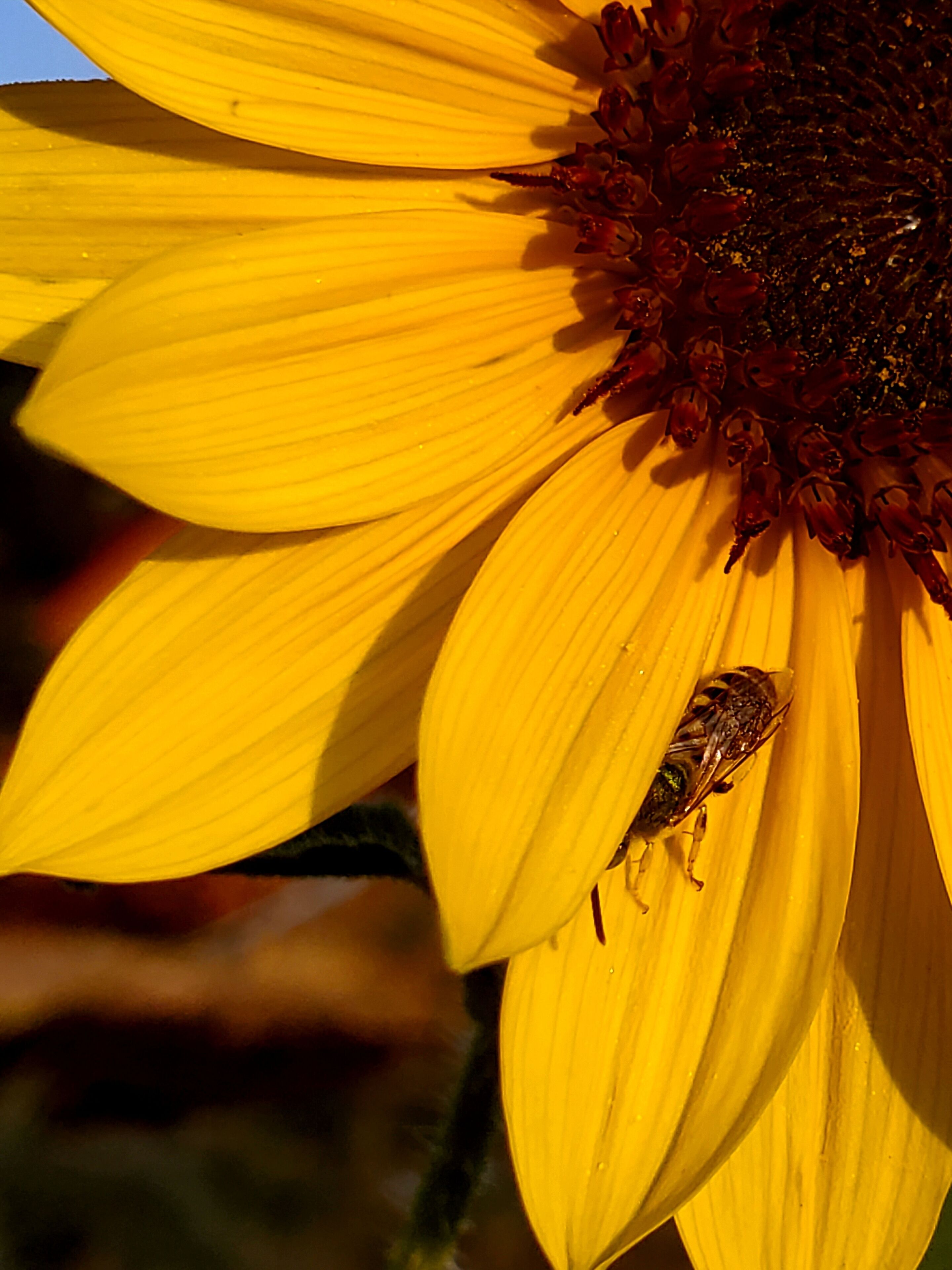 I took this at sunrise as I prepared to run a 10k.