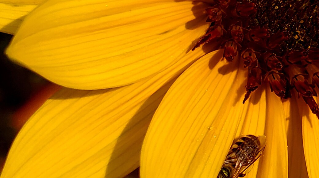 I took this at sunrise as I prepared to run a 10k.