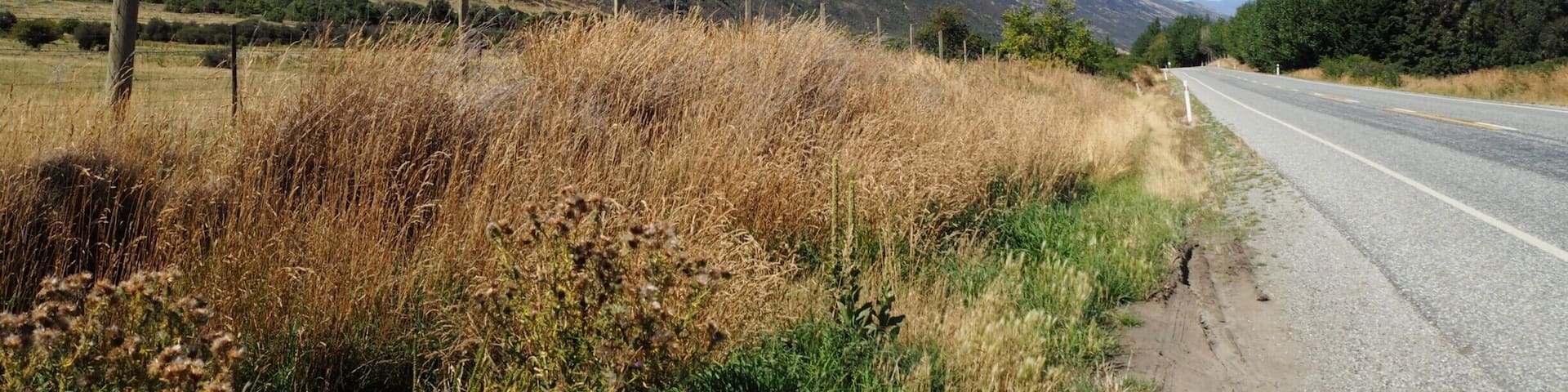 On our way to Te Anau on Kingston Road, the clear blue sky provide a refreshing "true blue" to the rugged Remarkables Mountain Range on the left.