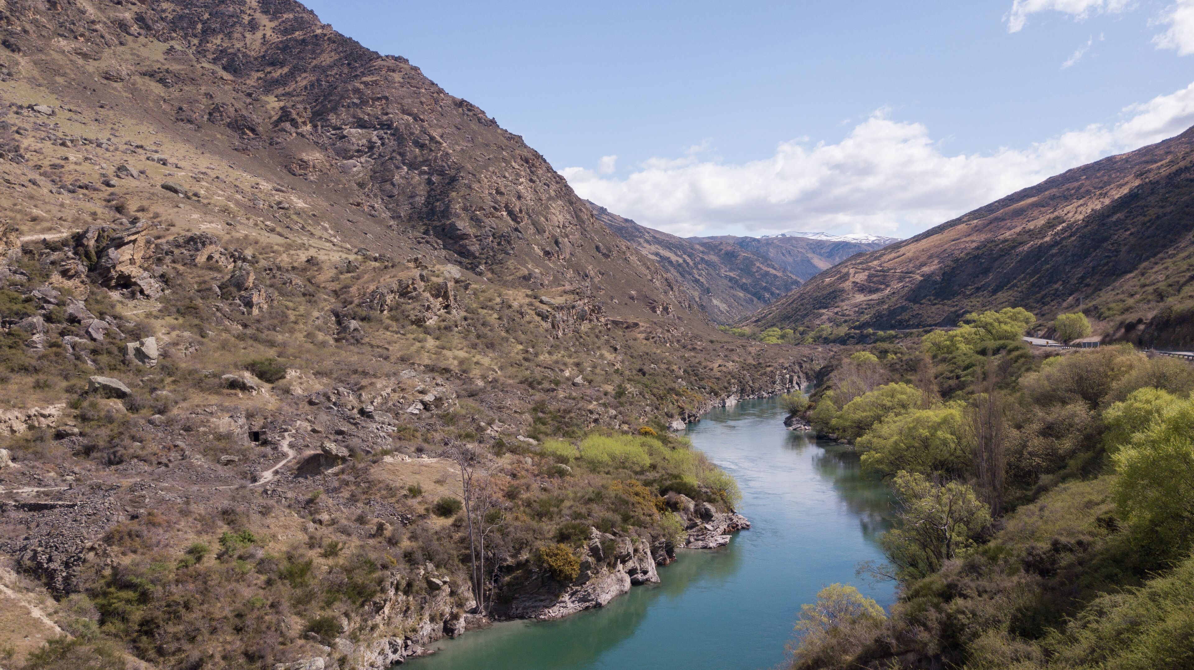 كاواراو فولز