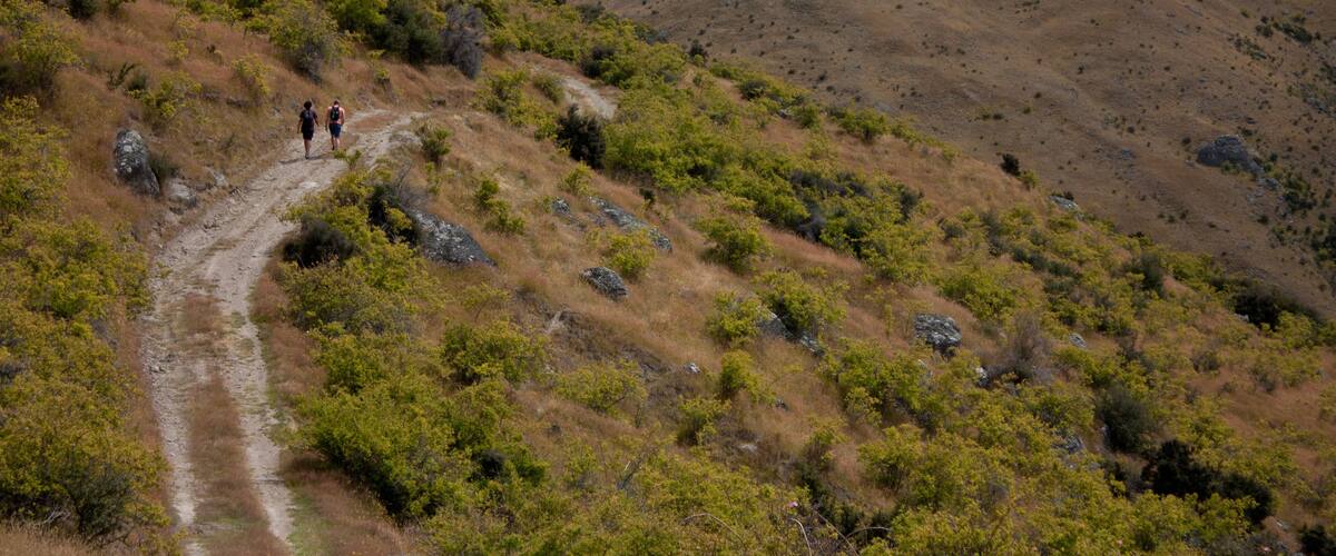 A dirt trail winding through a hilly landscape with sparse vegetation and rocky outcrops.