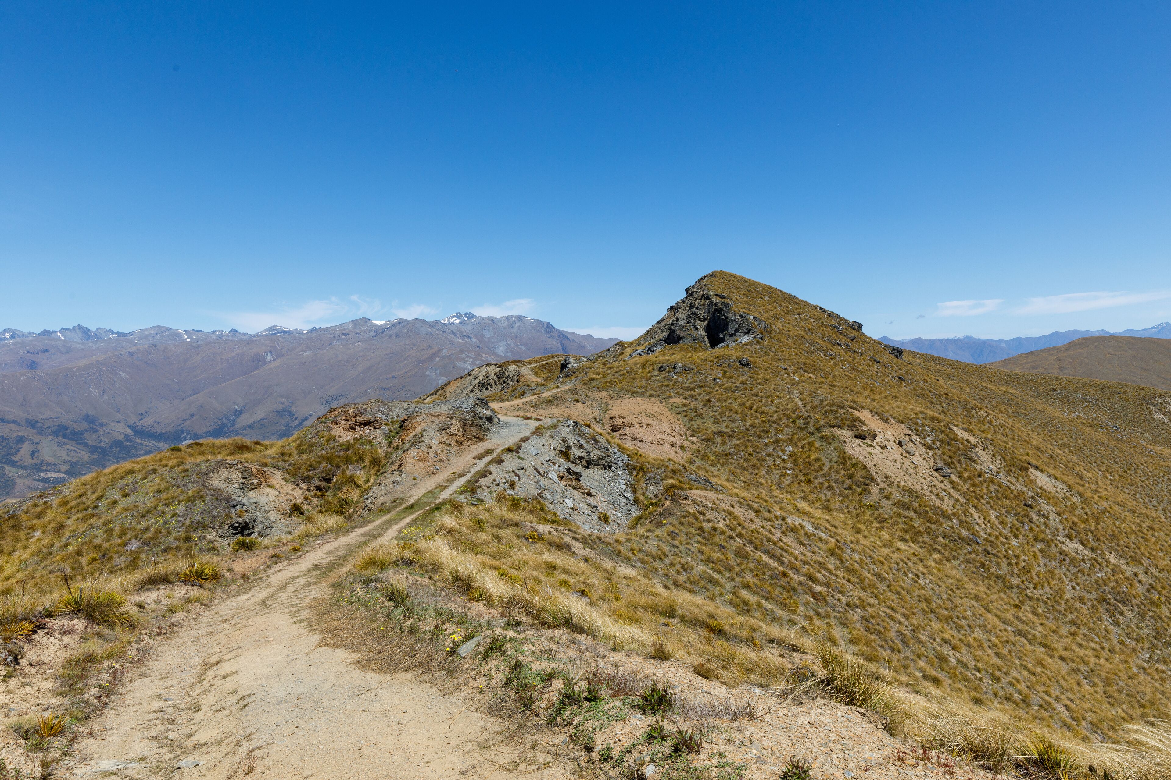 The summit of the Pisa Conservation Area track at Mount Rock Peak