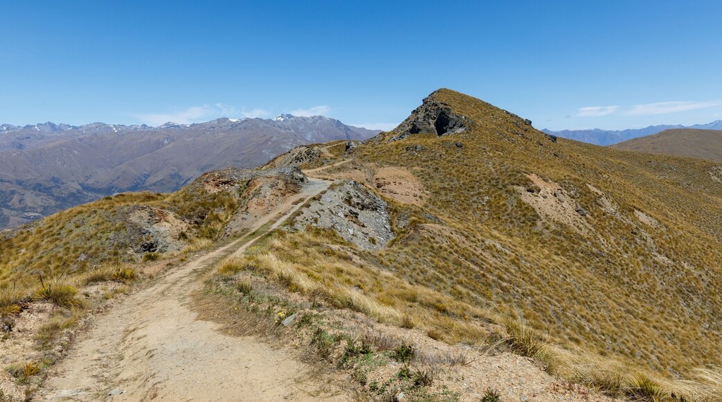 The summit of the Pisa Conservation Area track at Mount Rock Peak