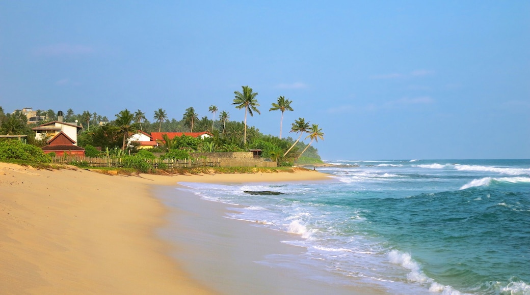 Empty sandy tropical beach with resort buildings, Kamburugamuwa, Sri Lanka