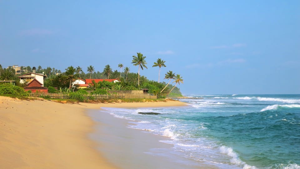 Empty sandy tropical beach with resort buildings, Kamburugamuwa, Sri Lanka