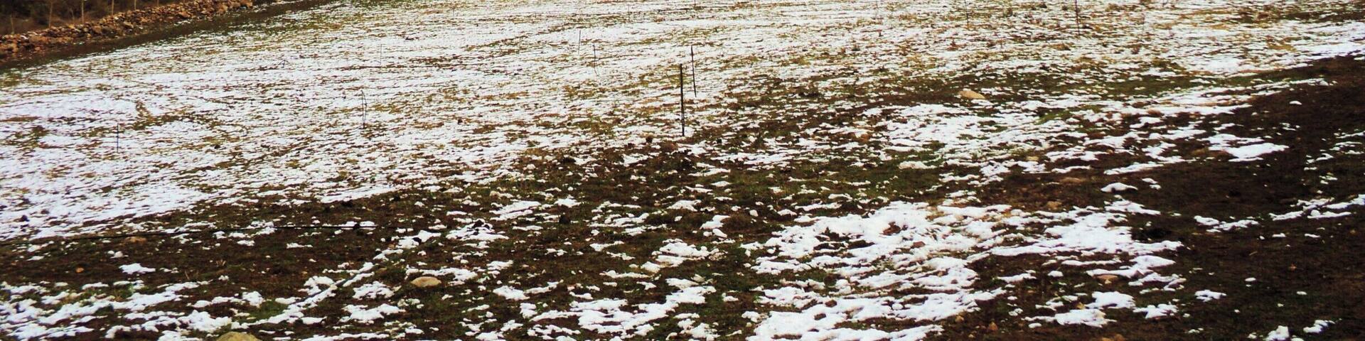 This town is located in the area called Precordillera de Los Andes.