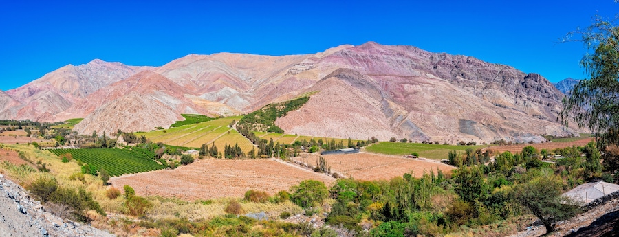 Paiguano or Paihuano panorama view of vineyards and mountains, Valle del Elqui in Elqui Province, Coquimbo Region.