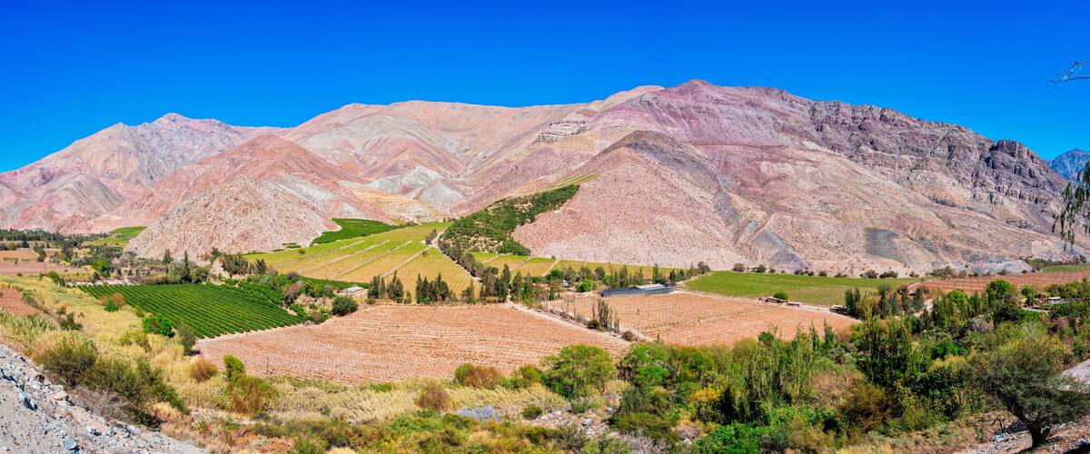 A mountainous landscape with terraced fields and sparse vegetation.