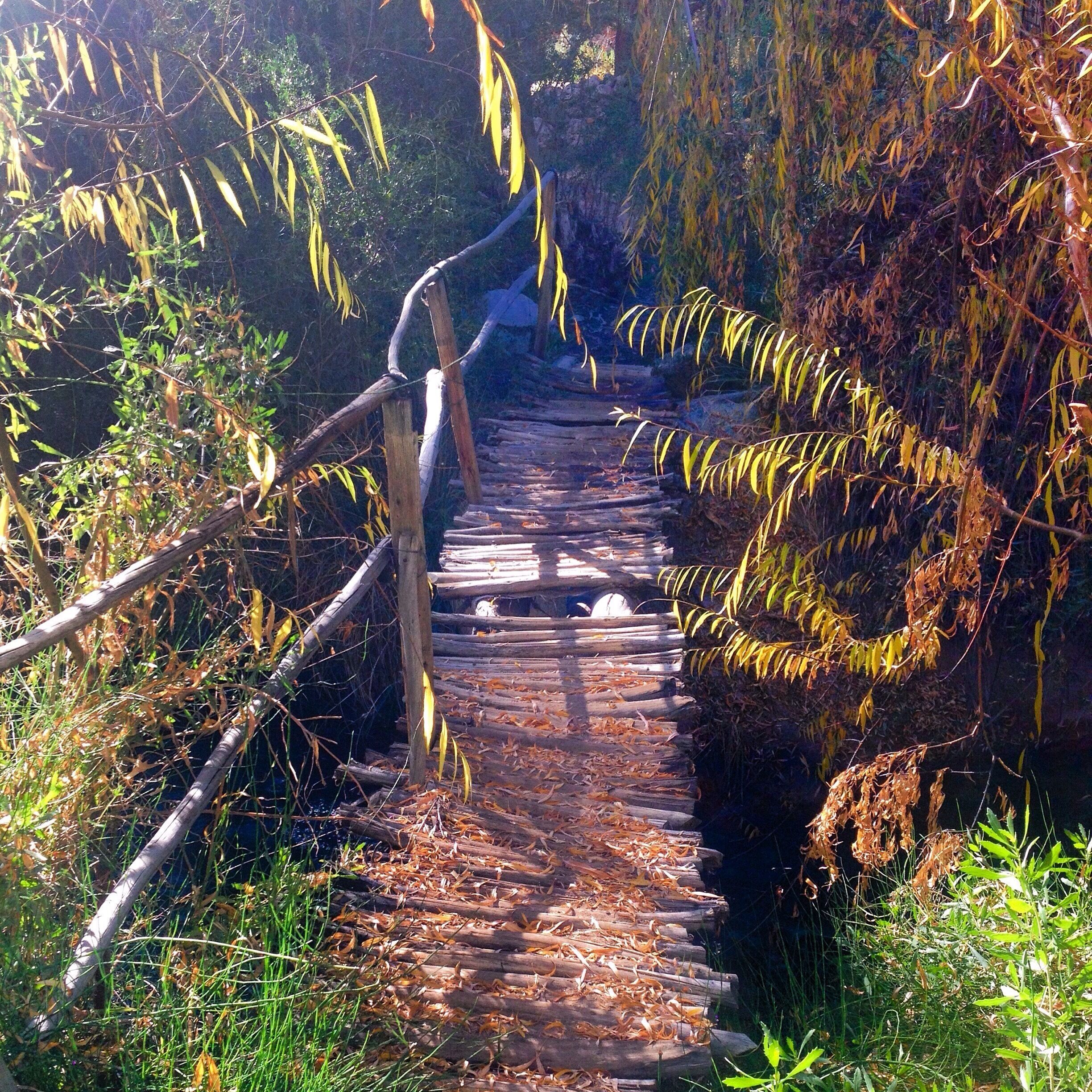 This little beauty was our favorite pass to the other side of Rio Cochiguaz. Accessible from the driveway of Camping Cochiguaz it leads to an informal pathway cut into the side of the dry mountains to explore this cactus-clad terrain. Be sure to make the walk of you find yourself in the area. The manager at Camping Cochiguaz can point you in the right direction if you have trouble finding it- it is a little hidden. 

#chile #elquivalley #walks 