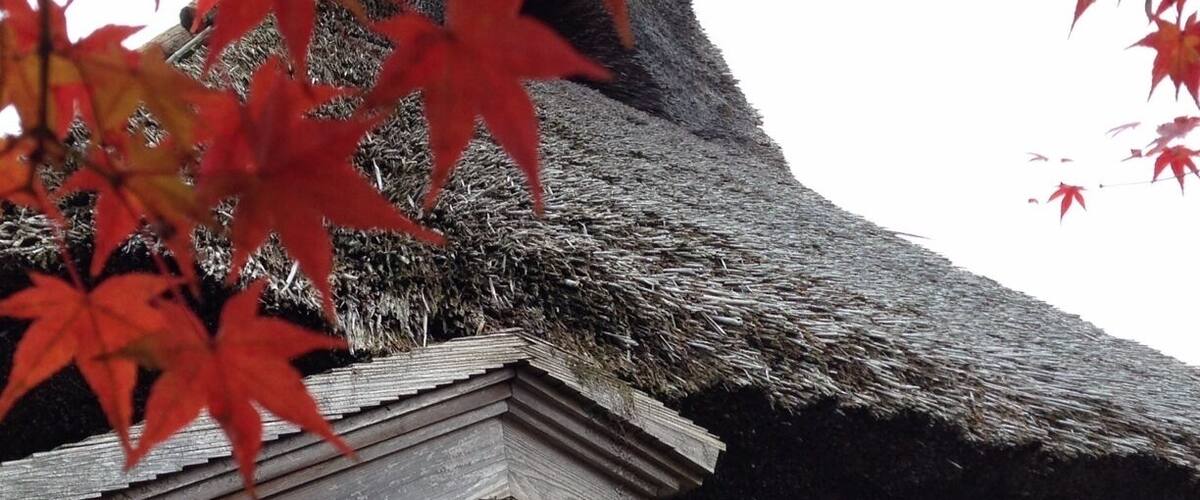 A traditional Japanese building with a thatched roof and red maple leaves in the foreground.