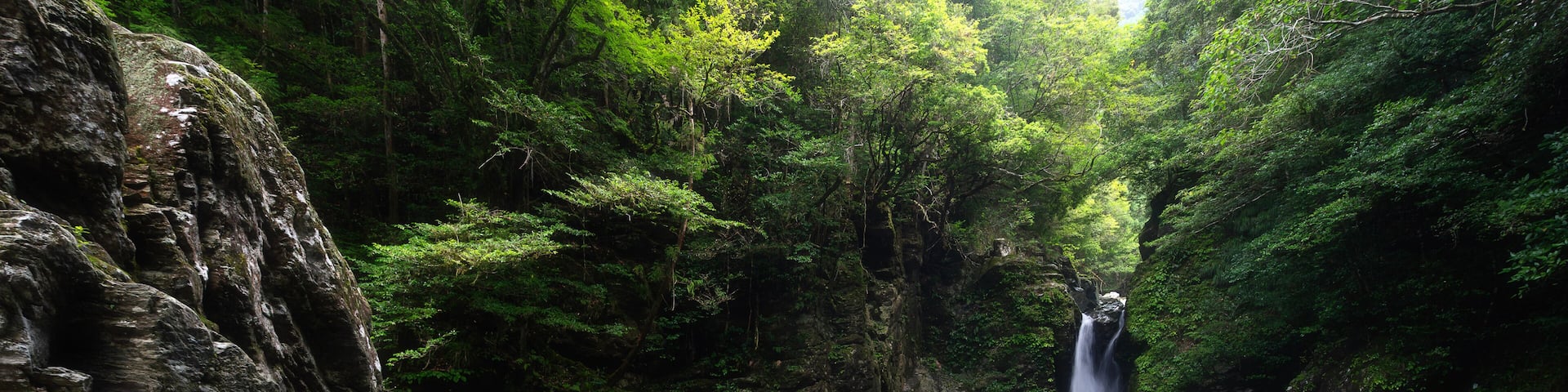 Niko Deep, Nikobuchi waterfall along Edagawa River in Summer, Kochi Prefecture, Shikoku, Japan