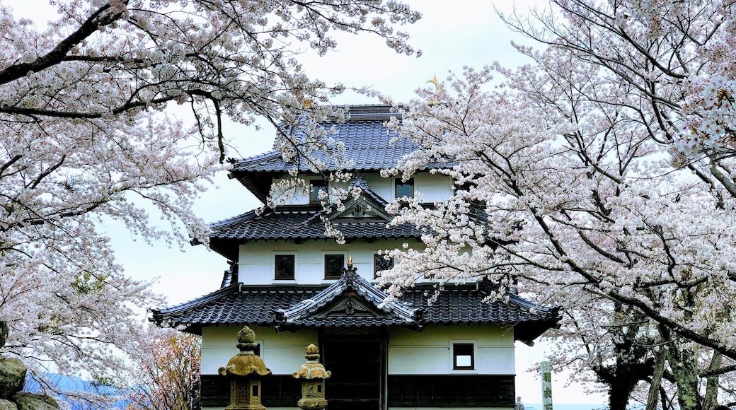 Very little tourists here. There’s only one couple here when we arrived.