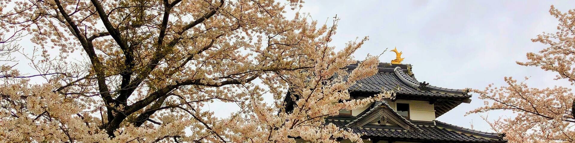 Just a short 20 mins hike up to the castle remains ; great view up here