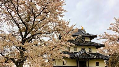 Just a short 20 mins hike up to the castle remains ; great view up here