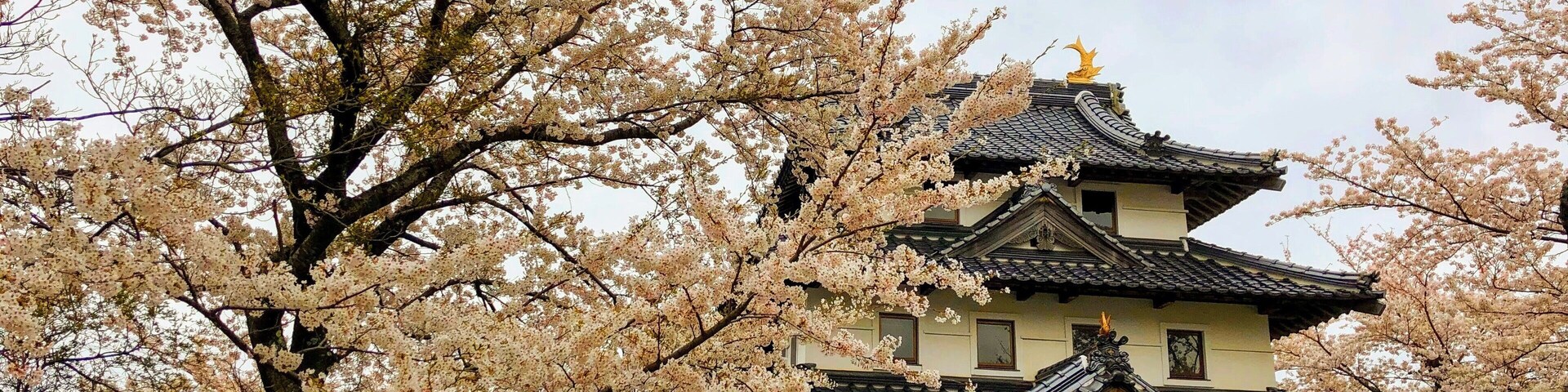 Just a short 20 mins hike up to the castle remains ; great view up here