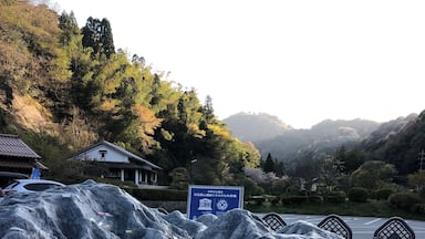 A model of the whole silver mine area