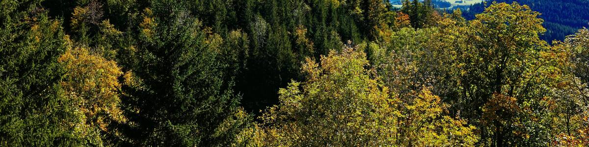 Burg Eisenberg im Allgäu mit Voralpenlandschaft