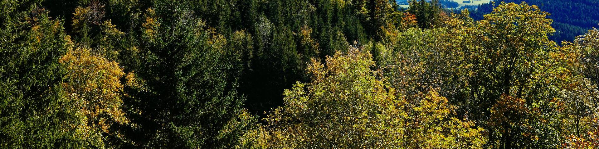 Burg Eisenberg im Allgäu mit Voralpenlandschaft