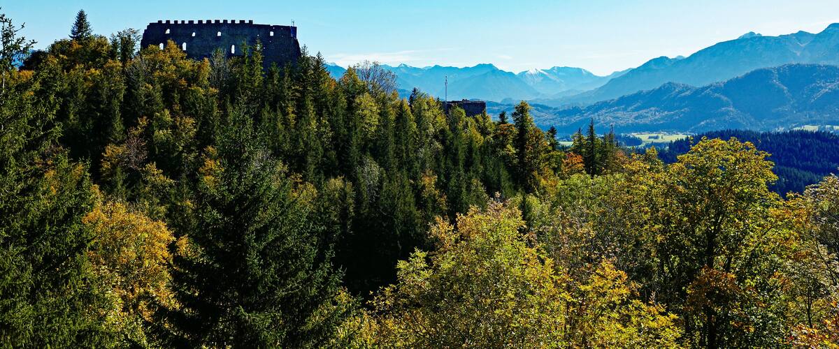 A castle on a hill surrounded by dense forest and mountains.