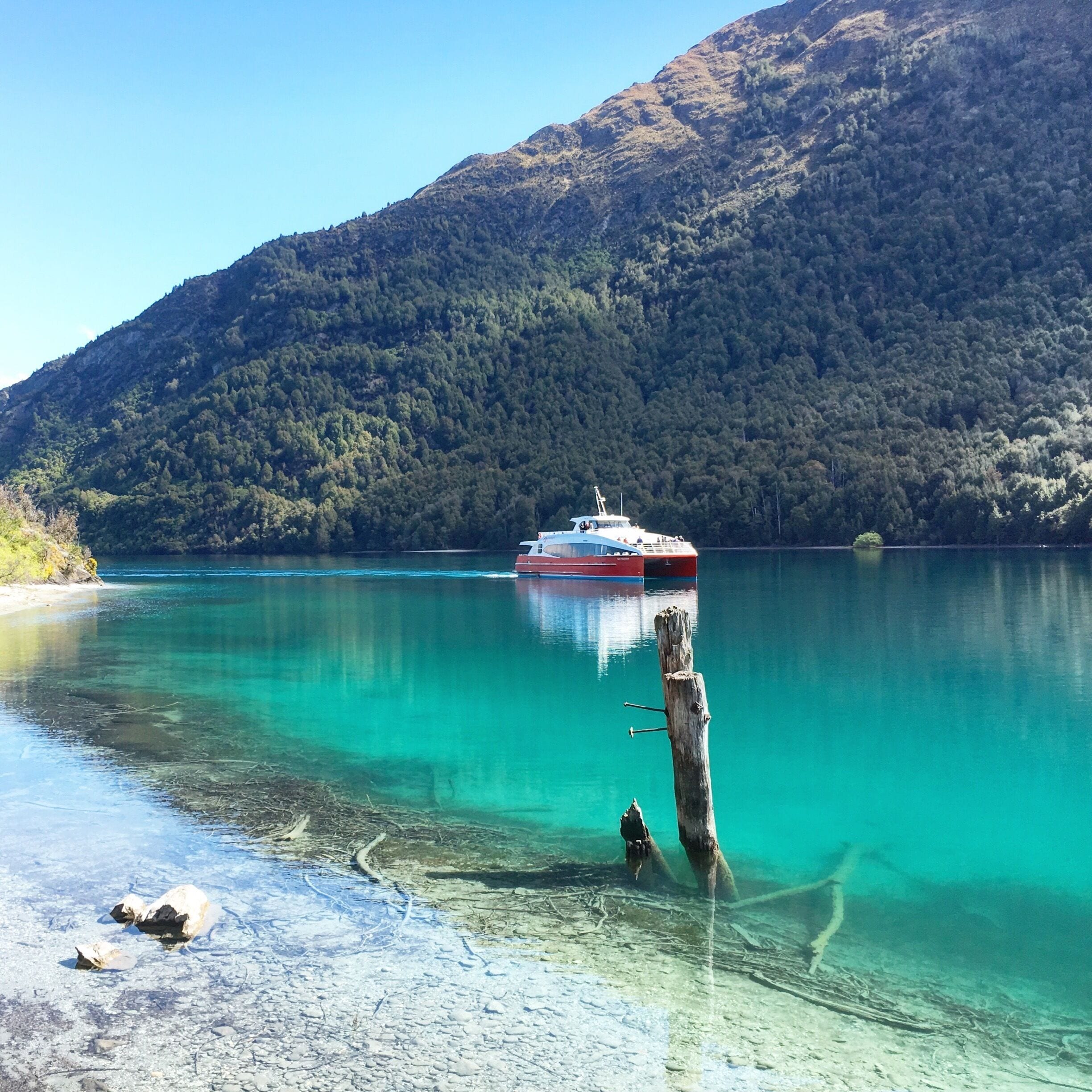 With pure blue waters this epic, Bobs Cove, Queenstown has to be one of the Southern Lakes best local escapes from the bustling crowds.

If you visit the Queenstown Region, head out to Bobs Cove and start your walk from the carpark to the Jetty where you can take in this exact view.

Then if you have the energy it's worth continuing onward to the Lookout Rock about 15-20mins further along the well sign-posted trail.

#Queenstown #NewZealand #BobsCove #Hiking #Waterlust #Green #Blue #TakeAhike #aquatrove