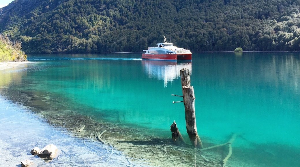With pure blue waters this epic, Bobs Cove, Queenstown has to be one of the Southern Lakes best local escapes from the bustling crowds.
If you visit the Queenstown Region, head out to Bobs Cove and start your walk from the carpark to the Jetty where you can take in this exact view.
Then if you have the energy it's worth continuing onward to the Lookout Rock about 15-20mins further along the well sign-posted trail.
#Queenstown #NewZealand #BobsCove #Hiking #Waterlust #Green #Blue #TakeAhike #aquatrove