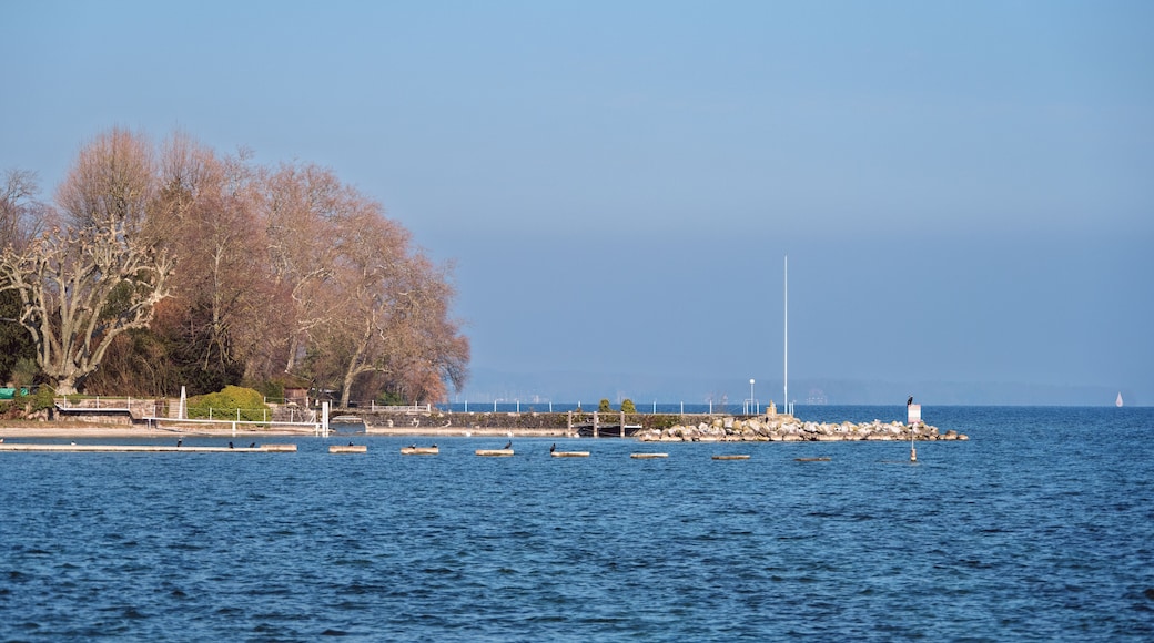 le lac Léman à Founex