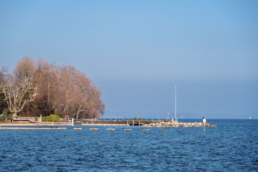 le lac Léman à Founex