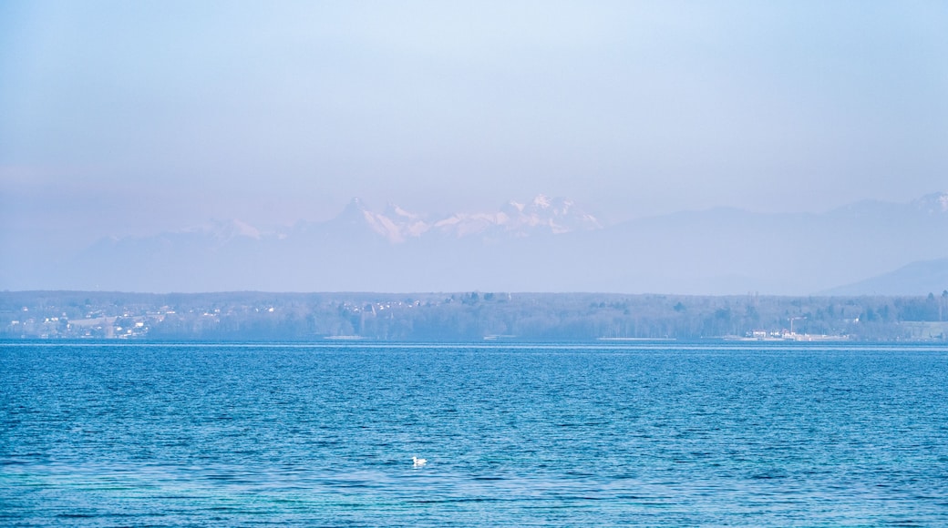 le lac Léman à Founex