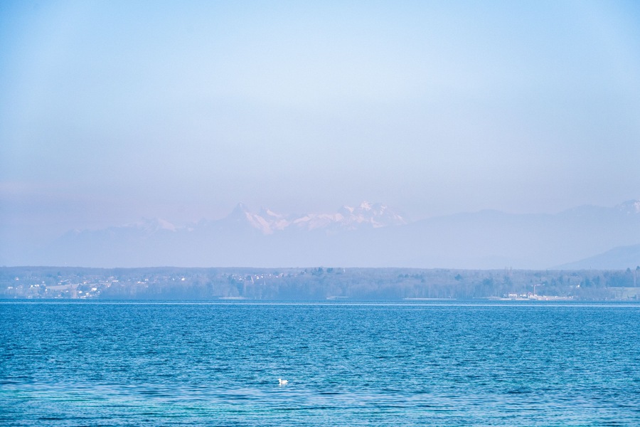 le lac Léman à Founex