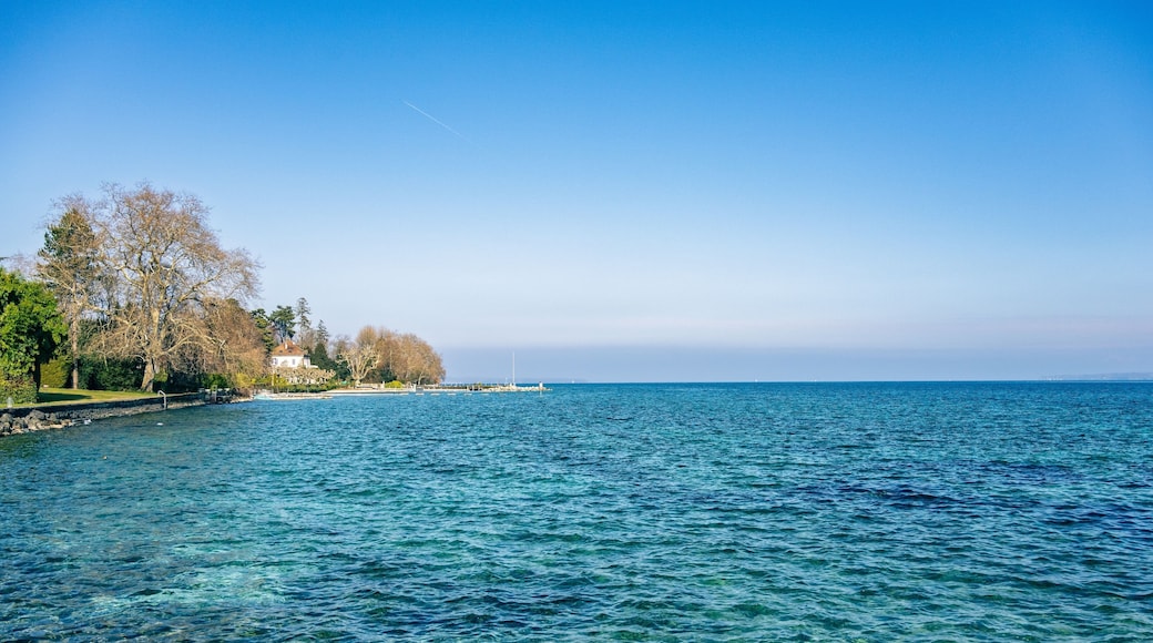 le lac Léman à Founex