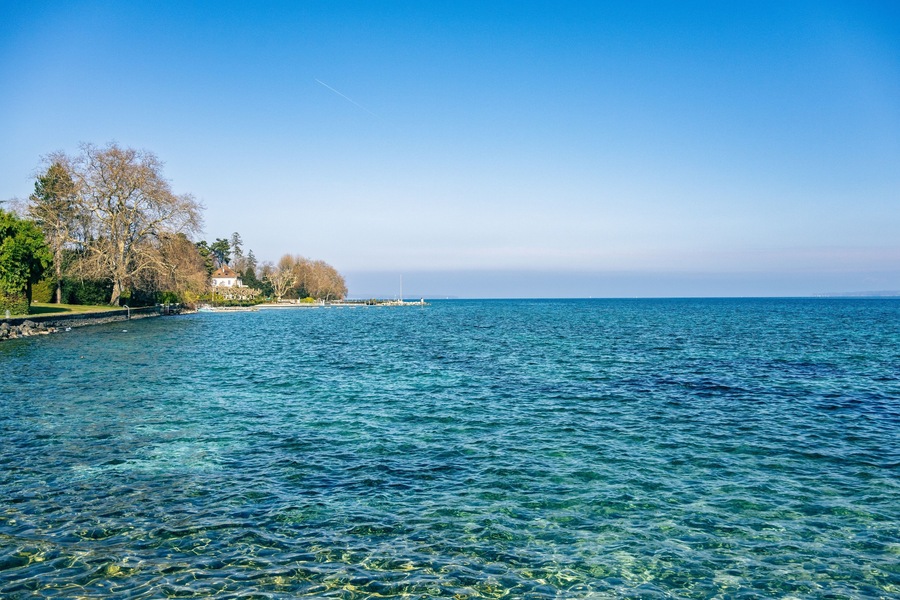 le lac Léman à Founex