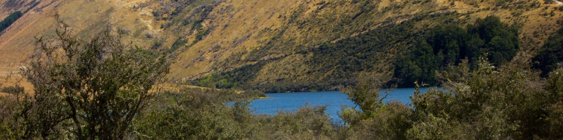 Queenstown featuring landscape views and a lake or waterhole