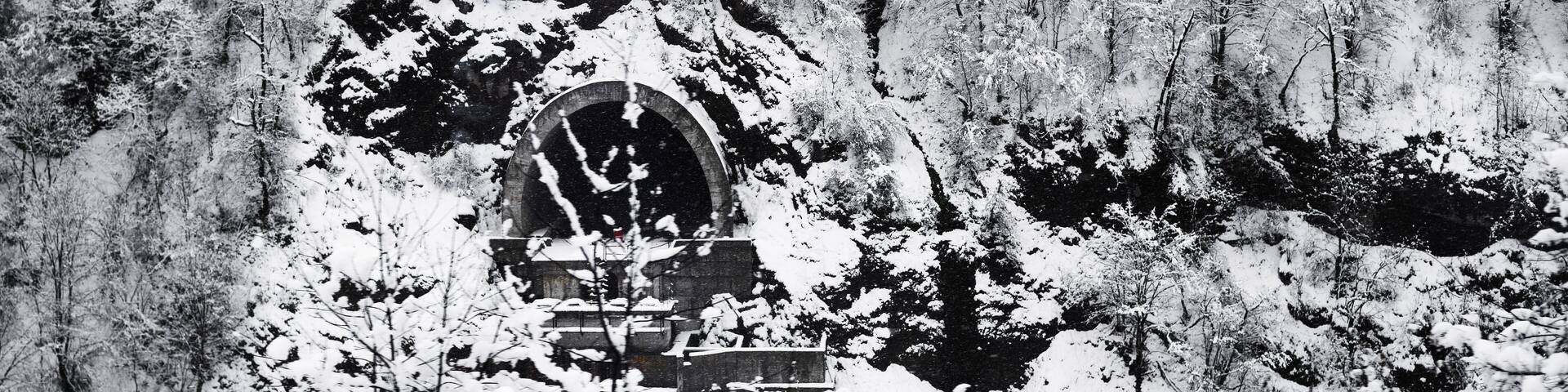 A snow-covered forest with a stone structure featuring an arched entrance.